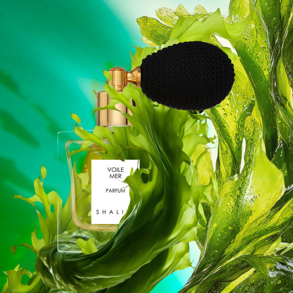 VOILE MER COLLECTION